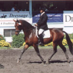BocaUnderSaddleYear2000