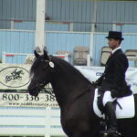 DSC00289-1
